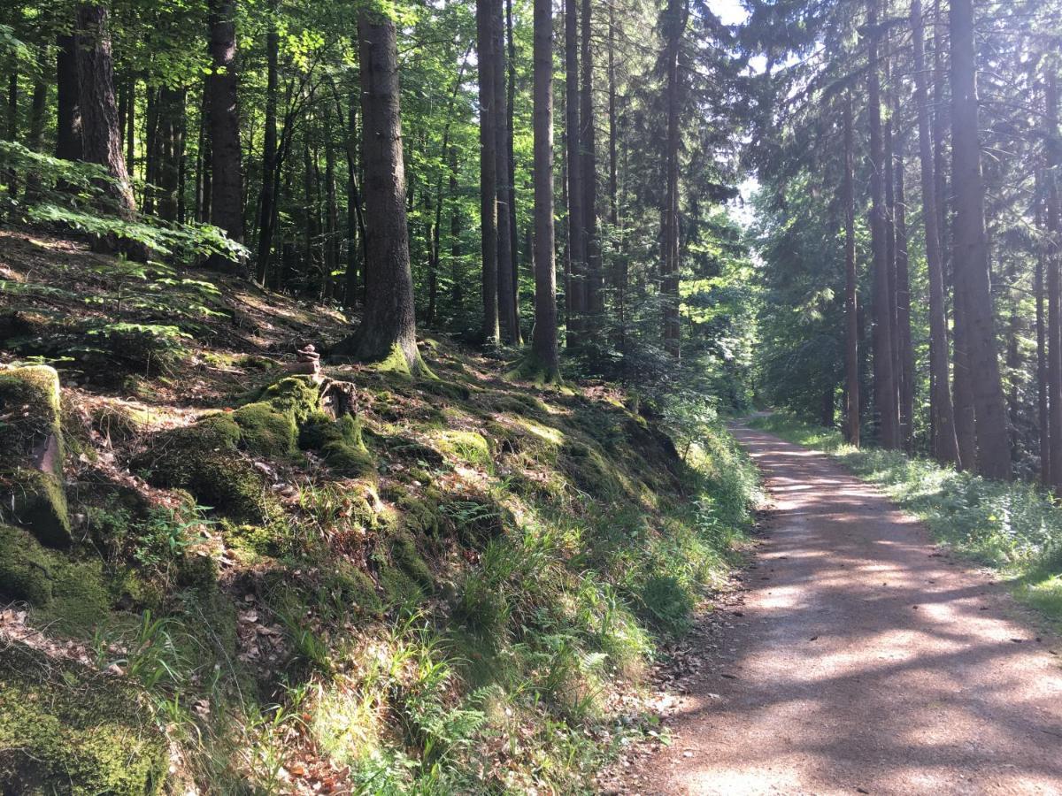 Infinity Two Lejlighed Waldbrunn  Eksteriør billede